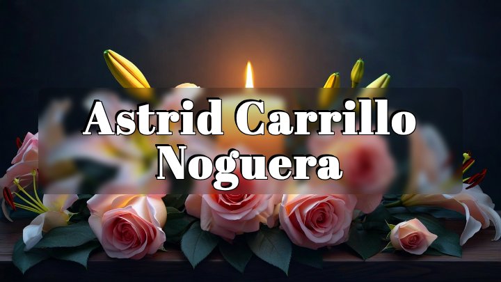 Astrid Carrillo Noguera, Chicago, IL