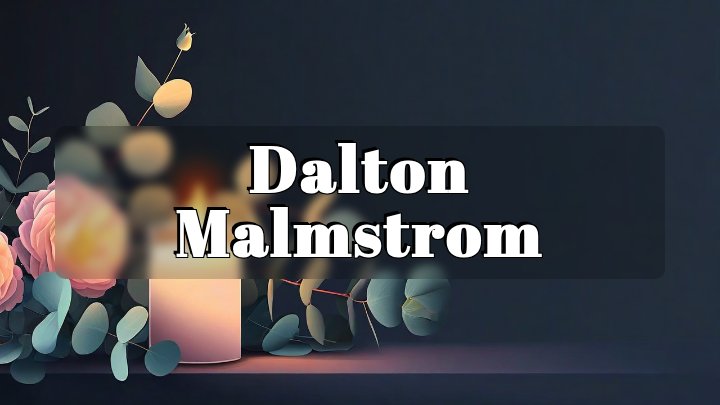 Dalton Malmstrom