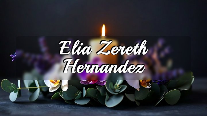 Elia Zereth Hernandez, San Antonio, Loop 410
