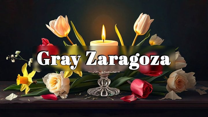 Gray Zaragoza