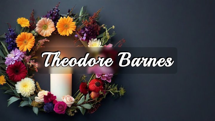 Theodore Barnes, Fisk