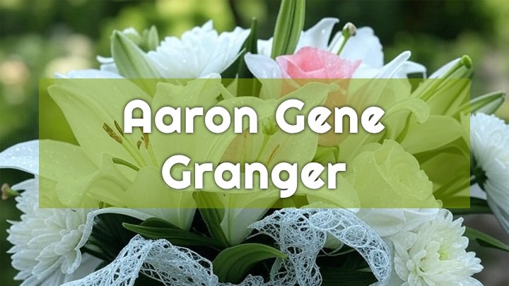 aaron gene granger owosso mi obituary