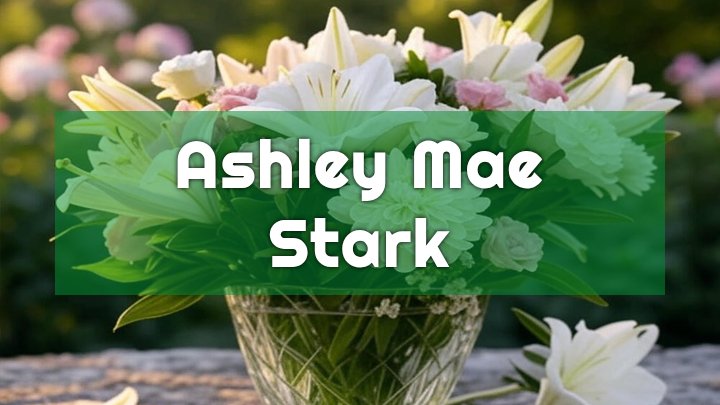ashley mae stark evansville in obituary
