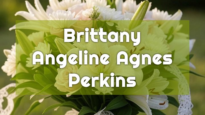 Brittany Angeline-Agnes Perkins, Billings, MT
