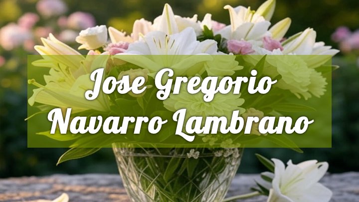Jose Gregorio Navarro Lambrano, Waco, TX