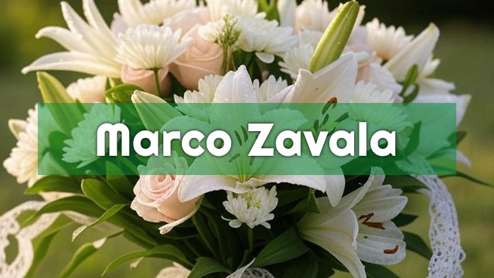 Marco Zavala, Los Angeles, CA
