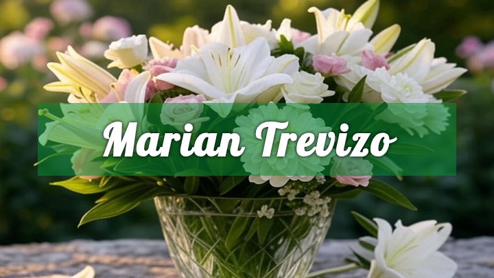 marian lizeth trevizo deming nm obituary